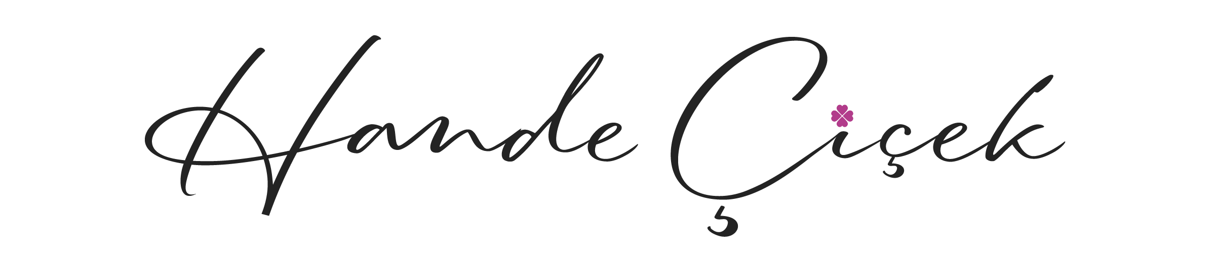Logo İmza